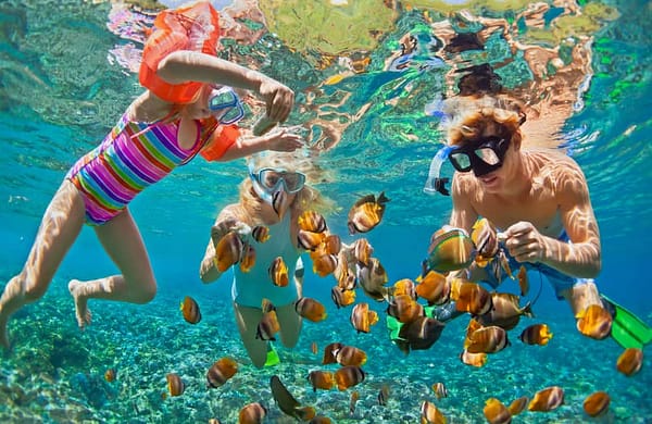 Family Scuba Diving